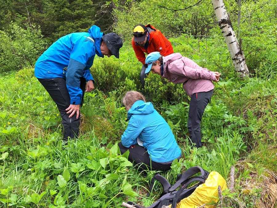 stage vie sauvage en drôme en pleine nature exploration plantes sauvages oiseaux