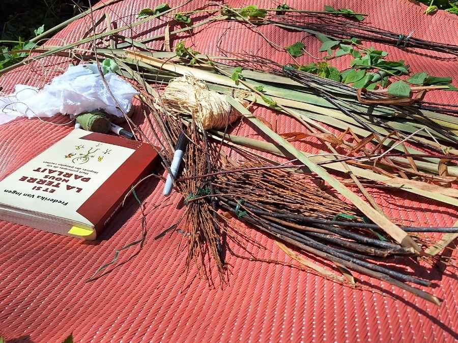 stage vie sauvage en drôme en pleine nature exploration plantes sauvages oiseaux