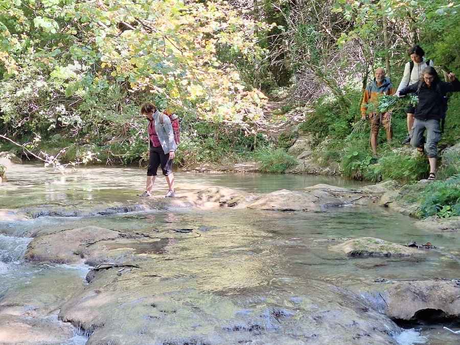 stage vie sauvage en drôme en pleine nature exploration plantes sauvages oiseaux
