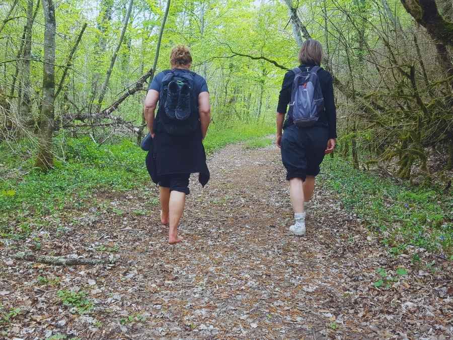 stage vie sauvage en drôme en pleine nature exploration plantes sauvages oiseaux