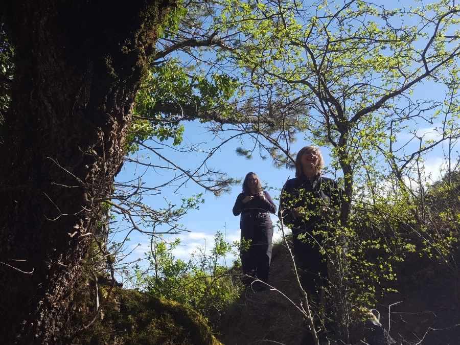 stage vie sauvage en drôme en pleine nature exploration plantes sauvages oiseaux