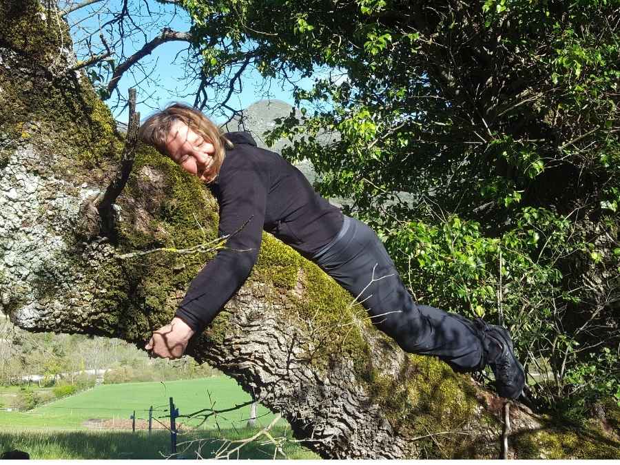 stage vie sauvage en drôme en pleine nature exploration plantes sauvages oiseaux