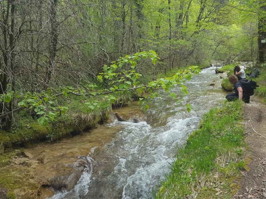 stage vie sauvage en drôme en pleine nature exploration plantes sauvages oiseaux