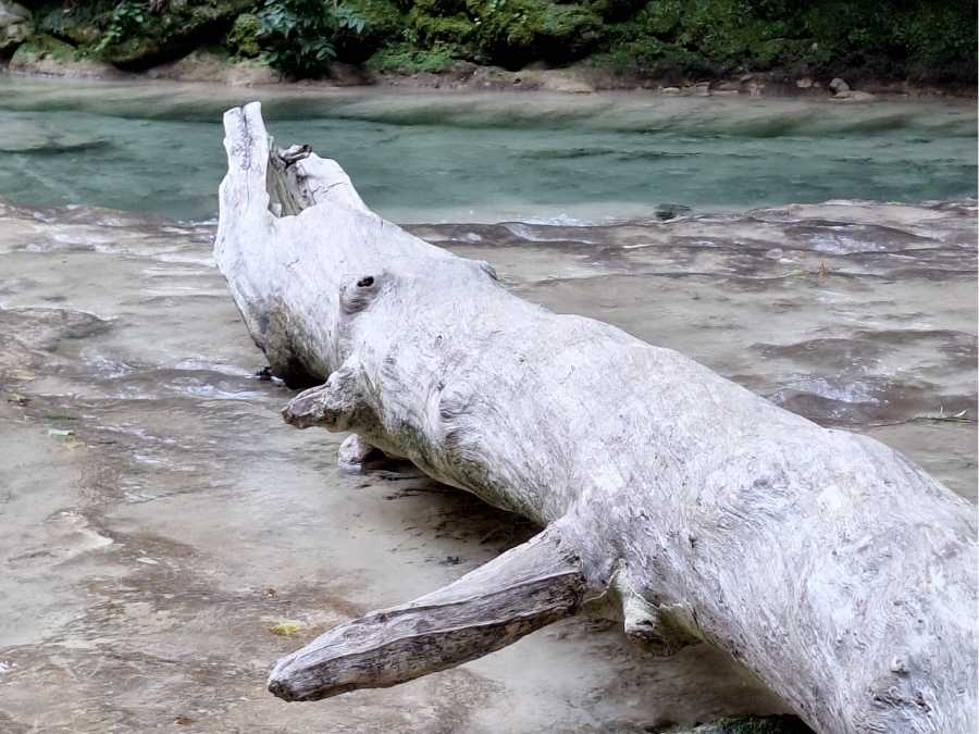 stage vie sauvage en drôme en pleine nature en tribu gervanne
