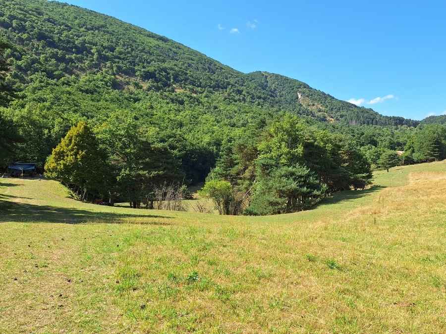 stage vie sauvage en drôme en pleine nature en tribu ferme pescher montagne